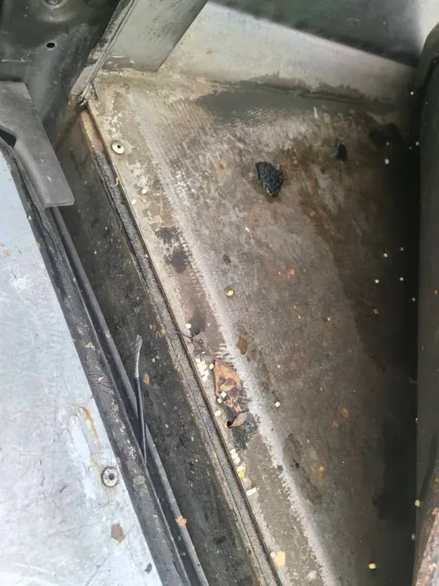 2020 Isuzu LingTuo 2.5T 150HP L4 6MT,autocango,china used car exporter,china ev exporter,chinese used car exporter,chinese used ev exporter