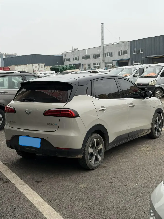 2024 WuLing BinGuoPLUS BEV 31.9KWH,autocango,china used car exporter,china ev exporter,chinese used car exporter,chinese used ev exporter