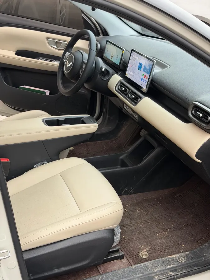 2024 WuLing BinGuoPLUS BEV 31.9KWH,autocango,china used car exporter,china ev exporter,chinese used car exporter,chinese used ev exporter