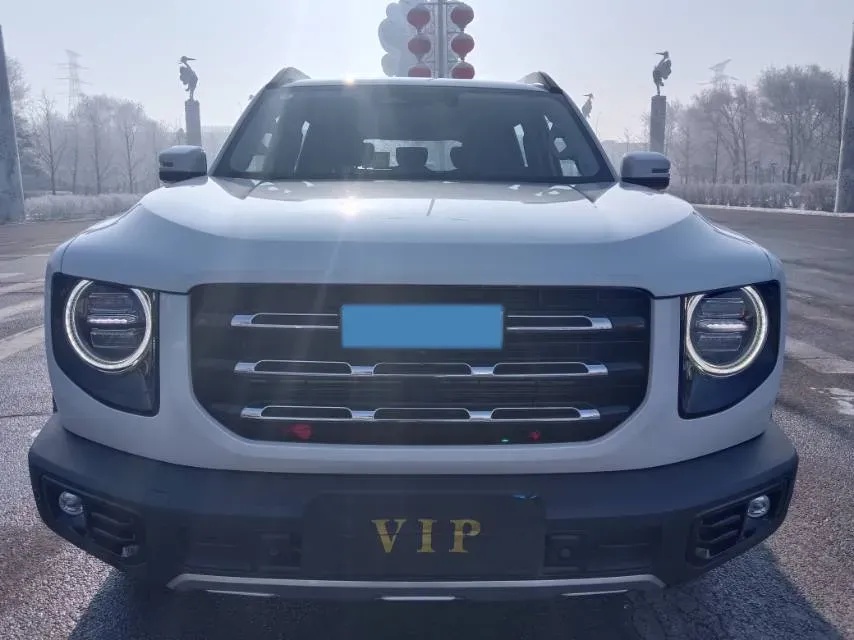 2021 Haval Dargo 2.0T 211HP L4 7DCT,autocango,china used car exporter,china ev exporter,chinese used car exporter,chinese used ev exporter