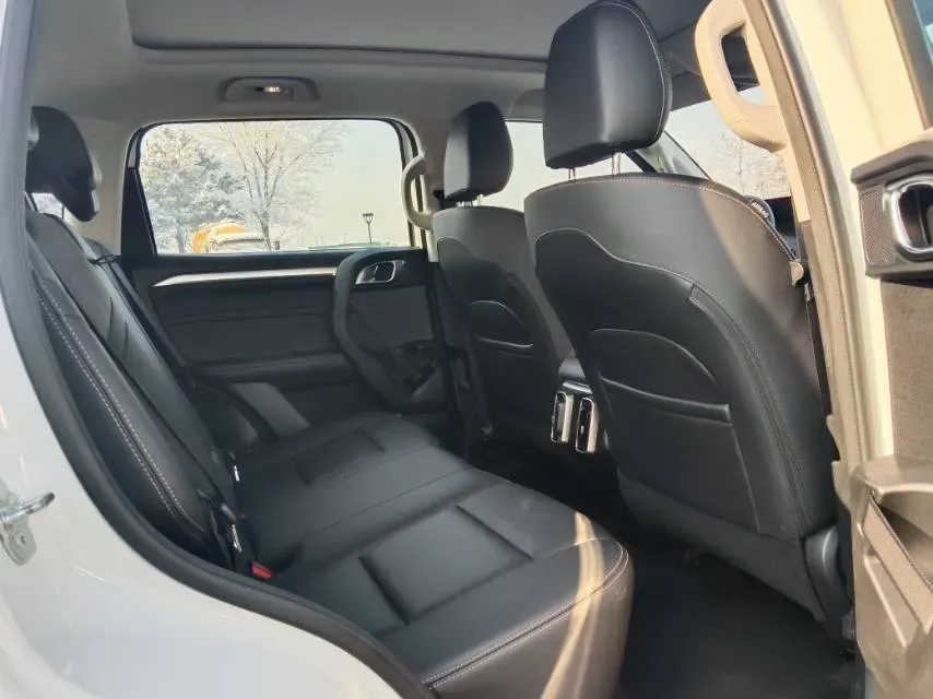 2021 Haval Dargo 2.0T 211HP L4 7DCT,autocango,china used car exporter,china ev exporter,chinese used car exporter,chinese used ev exporter