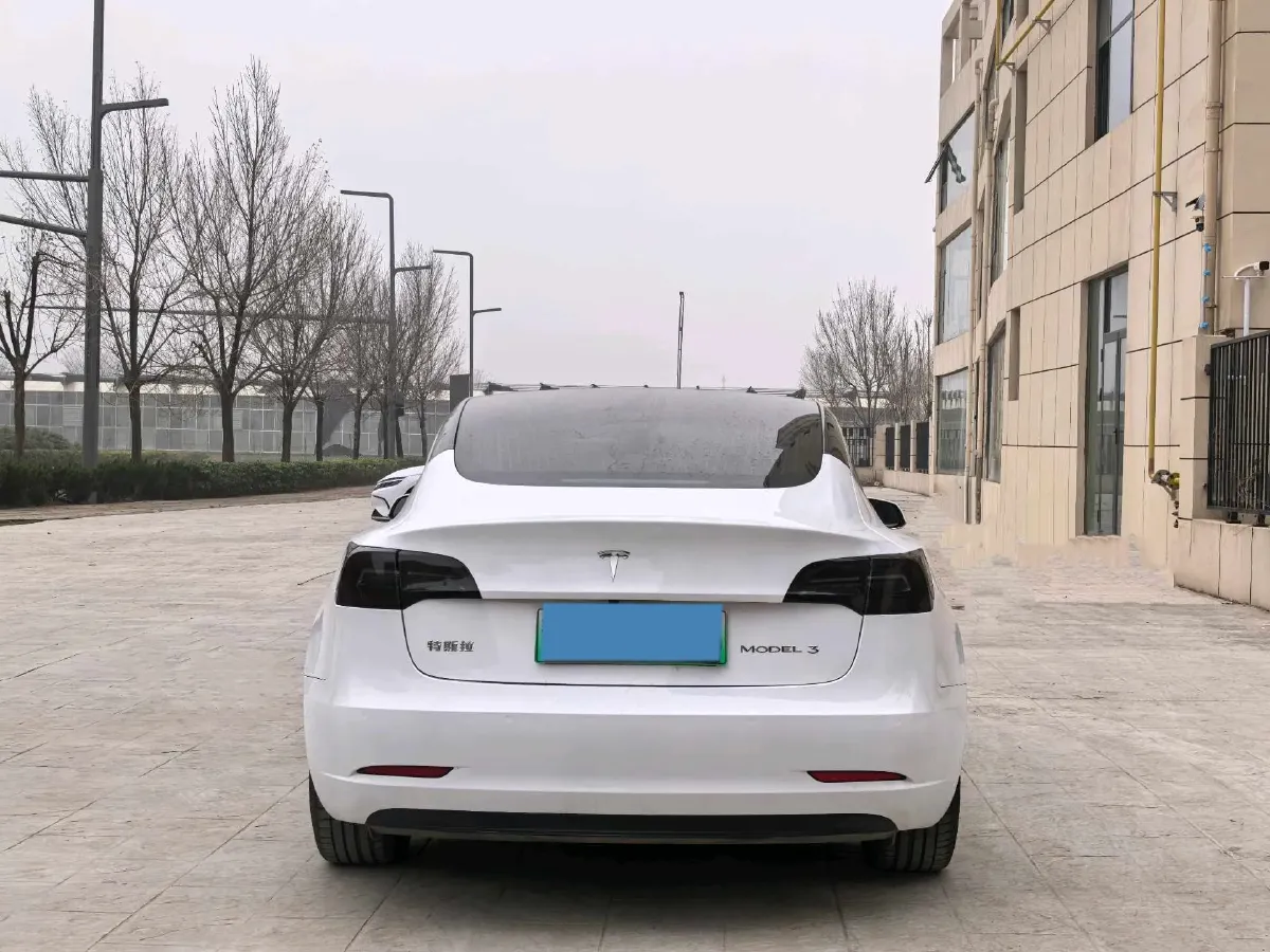 2020 Tesla Model 3 BEV 52KWH,autocango,china used car exporter,china ev exporter,chinese used car exporter,chinese used ev exporter