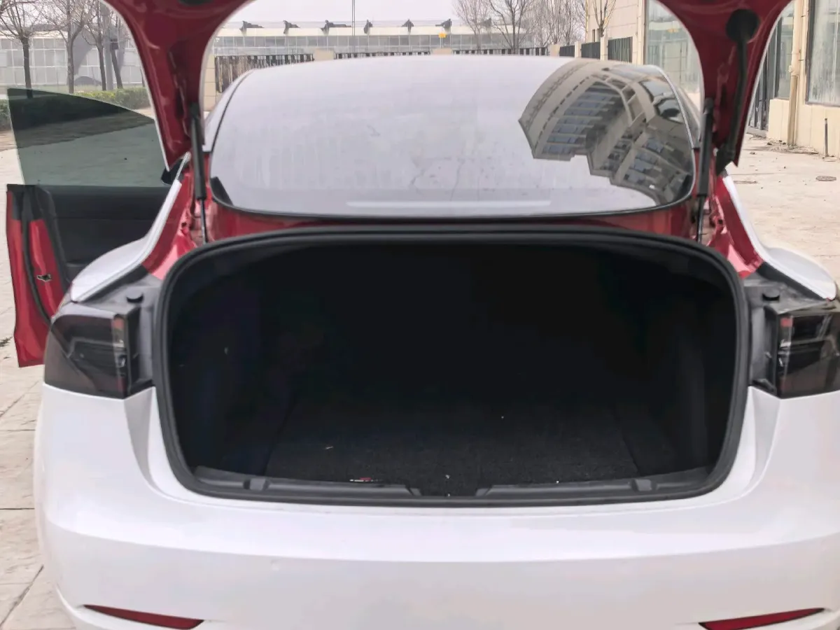 2020 Tesla Model 3 BEV 52KWH,autocango,china used car exporter,china ev exporter,chinese used car exporter,chinese used ev exporter