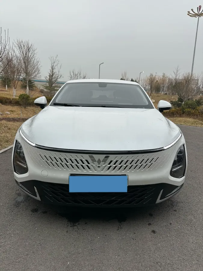 2023 WuLing XingGuang 1.5L 106HP L4 E-CVT PHEV 20.5KWH,autocango,china used car exporter,china ev exporter,chinese used car exporter,chinese used ev exporter