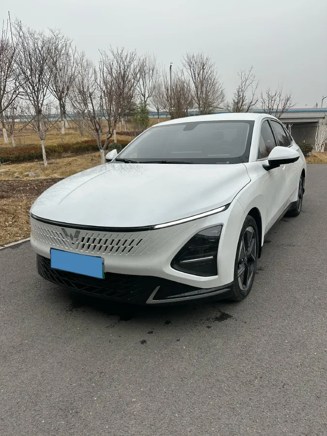 2023 WuLing XingGuang 1.5L 106HP L4 E-CVT PHEV 20.5KWH,autocango,china used car exporter,china ev exporter,chinese used car exporter,chinese used ev exporter