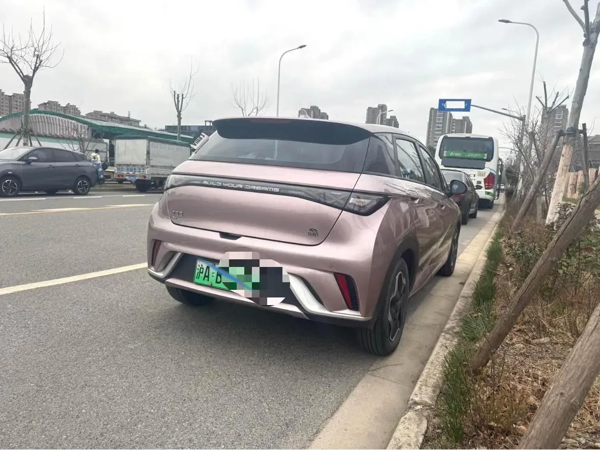 2021 BYD Yuan Pro BEV 50.1KWH,autocango,china used car exporter,china ev exporter,chinese used car exporter,chinese used ev exporter