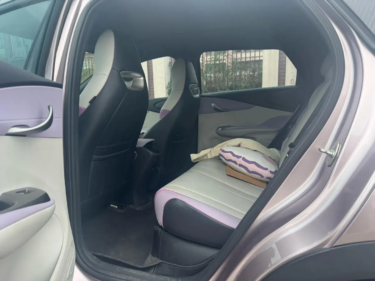 2021 BYD Yuan Pro BEV 50.1KWH,autocango,china used car exporter,china ev exporter,chinese used car exporter,chinese used ev exporter