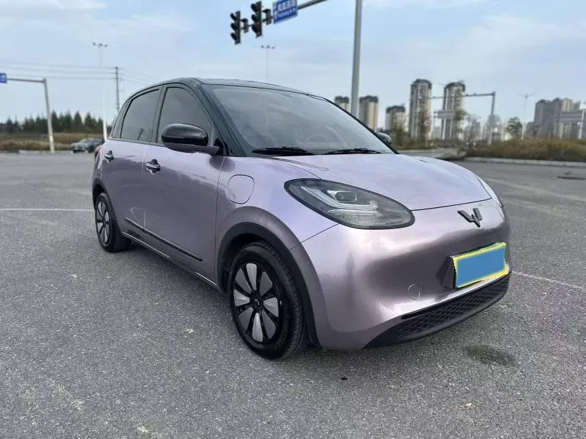 2025 WuLing BinGuo BEV,autocango,china used car exporter,china ev exporter,chinese used car exporter,chinese used ev exporter