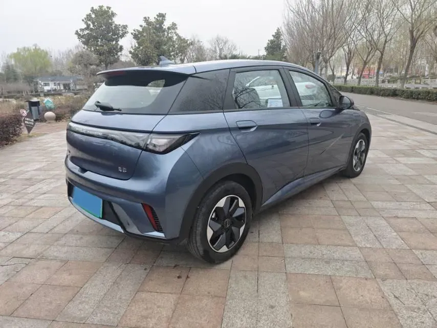 2025 BYD Dolphin BEV 44.928KWH,autocango,china used car exporter,china ev exporter,chinese used car exporter,chinese used ev exporter
