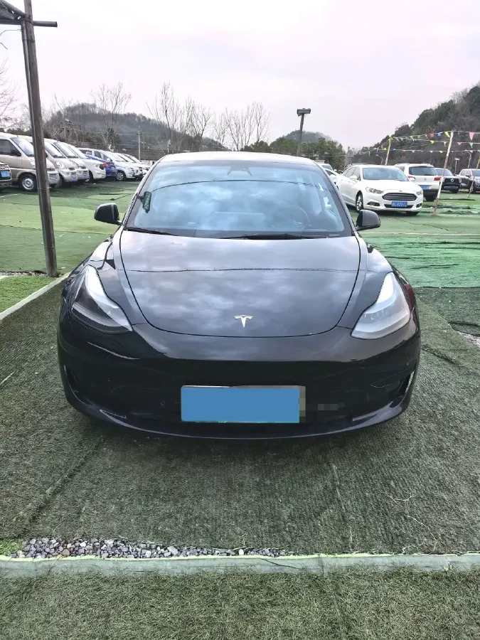 2021 Tesla Model 3 BEV 55KWH,autocango,china used car exporter,china ev exporter,chinese used car exporter,chinese used ev exporter