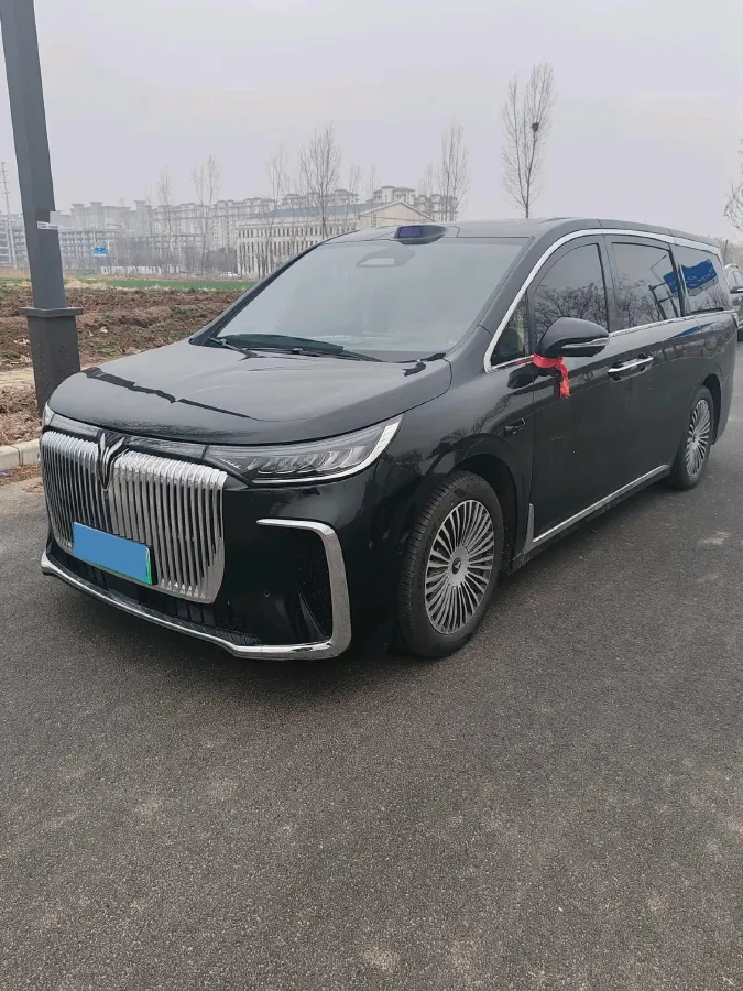 2025 Voyah Dream 1.5T 150HP L4 PHEV 41.7KWH,autocango,china used car exporter,china ev exporter,chinese used car exporter,chinese used ev exporter