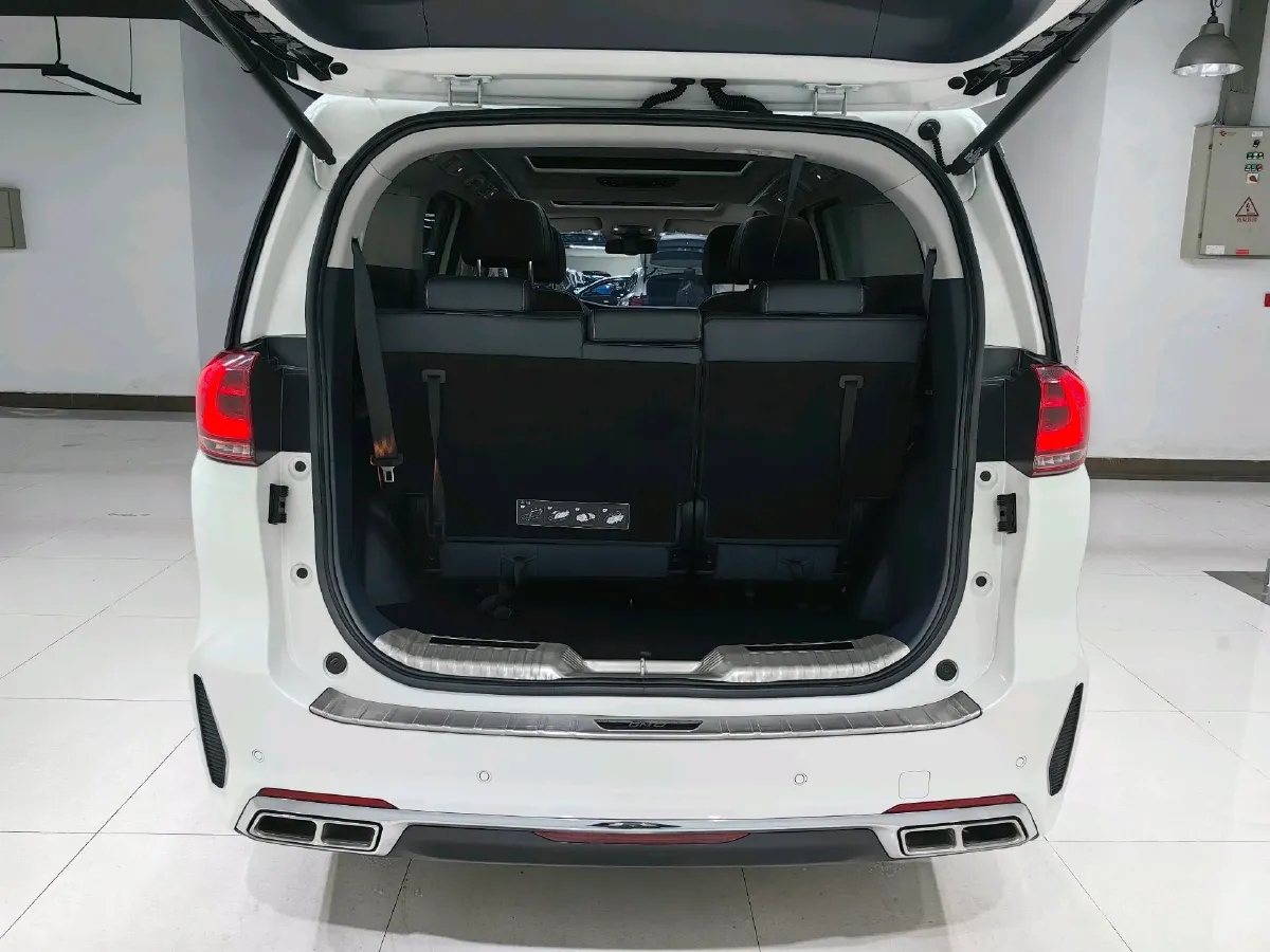 2021 GAC Trumpchi M8 2.0T 252HP L4 8AT,autocango,china used car exporter,china ev exporter,chinese used car exporter,chinese used ev exporter