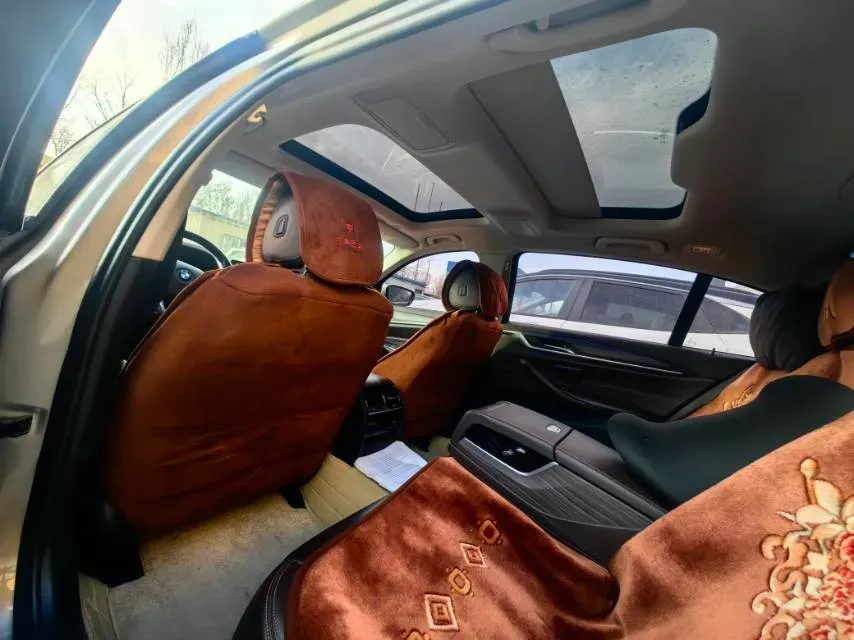 2020 BMW 5 Series 2.0T 184HP L4 8AT PHEV 13KWH,autocango,china used car exporter,china ev exporter,chinese used car exporter,chinese used ev exporter