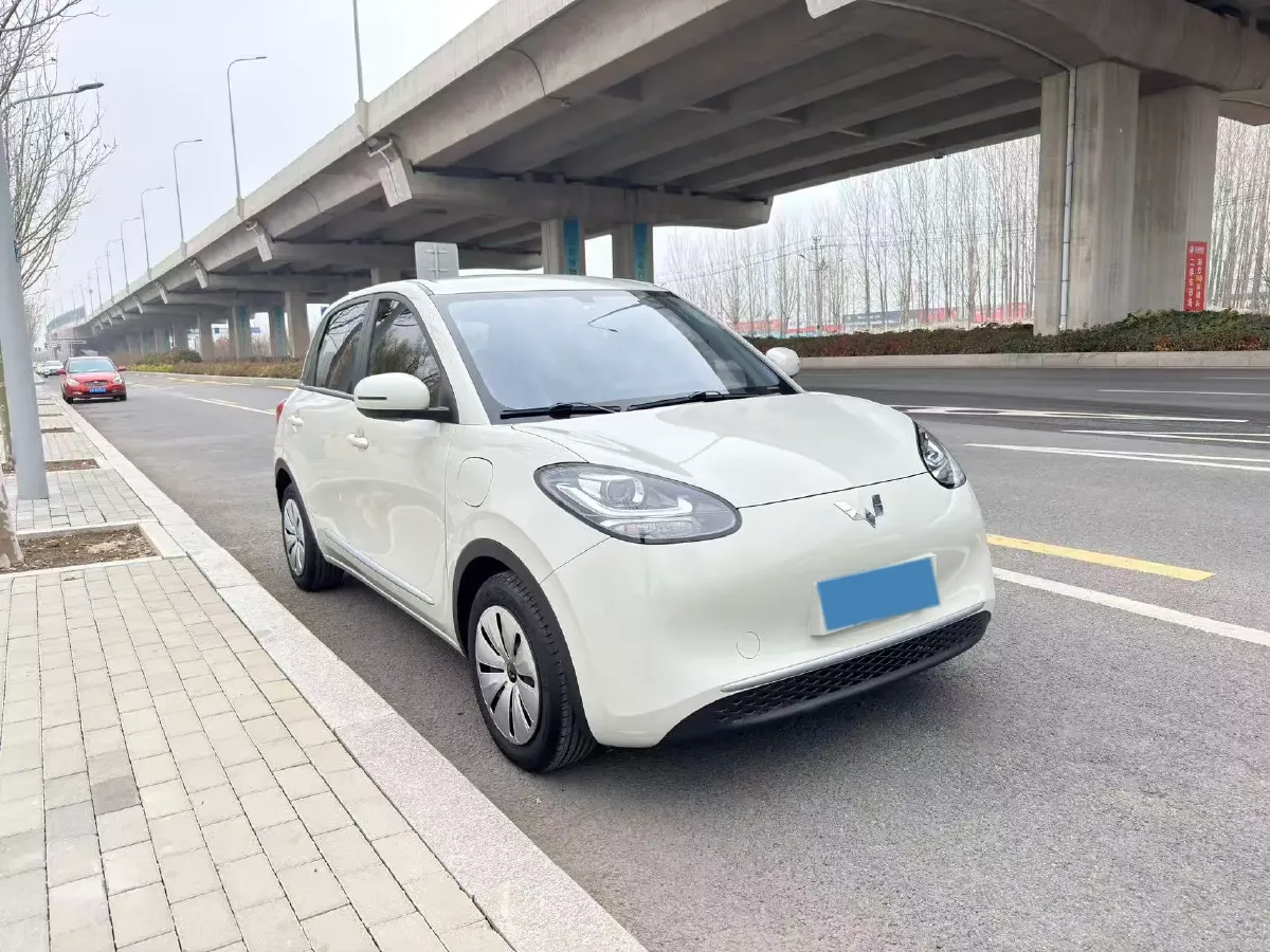 2023 WuLing BinGuo BEV 17.3KWH,autocango,china used car exporter,china ev exporter,chinese used car exporter,chinese used ev exporter