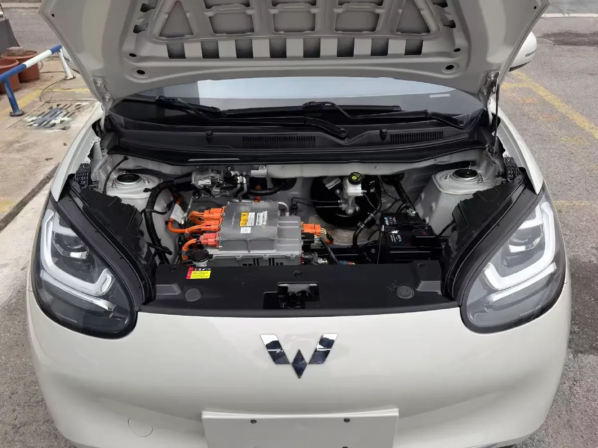 2023 WuLing BinGuo BEV 17.3KWH,autocango,china used car exporter,china ev exporter,chinese used car exporter,chinese used ev exporter