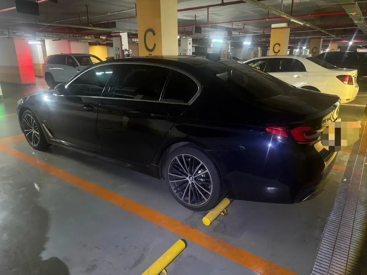 2021 BMW 5 Series 2.0T 252HP L4 8AT,autocango,china used car exporter,china ev exporter,chinese used car exporter,chinese used ev exporter