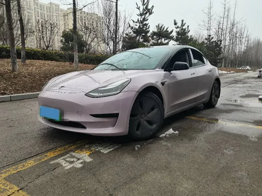 2020 Tesla Model 3 BEV 52KWH,autocango,china used car exporter,china ev exporter,chinese used car exporter,chinese used ev exporter