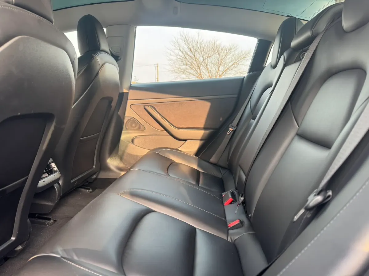 2020 Tesla Model 3 BEV 52KWH,autocango,china used car exporter,china ev exporter,chinese used car exporter,chinese used ev exporter