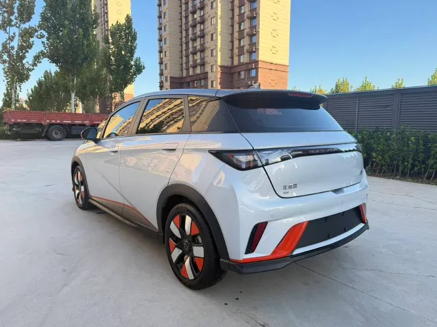 2021 BYD e2 BEV 43.2KWH,autocango,china used car exporter,china ev exporter,chinese used car exporter,chinese used ev exporter