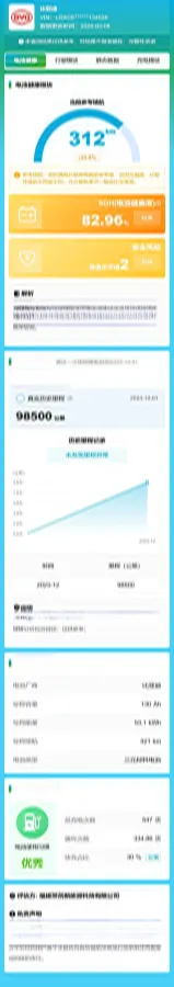 2019 BYD Qin BEV 53.1KWH,autocango,china used car exporter,china ev exporter,chinese used car exporter,chinese used ev exporter