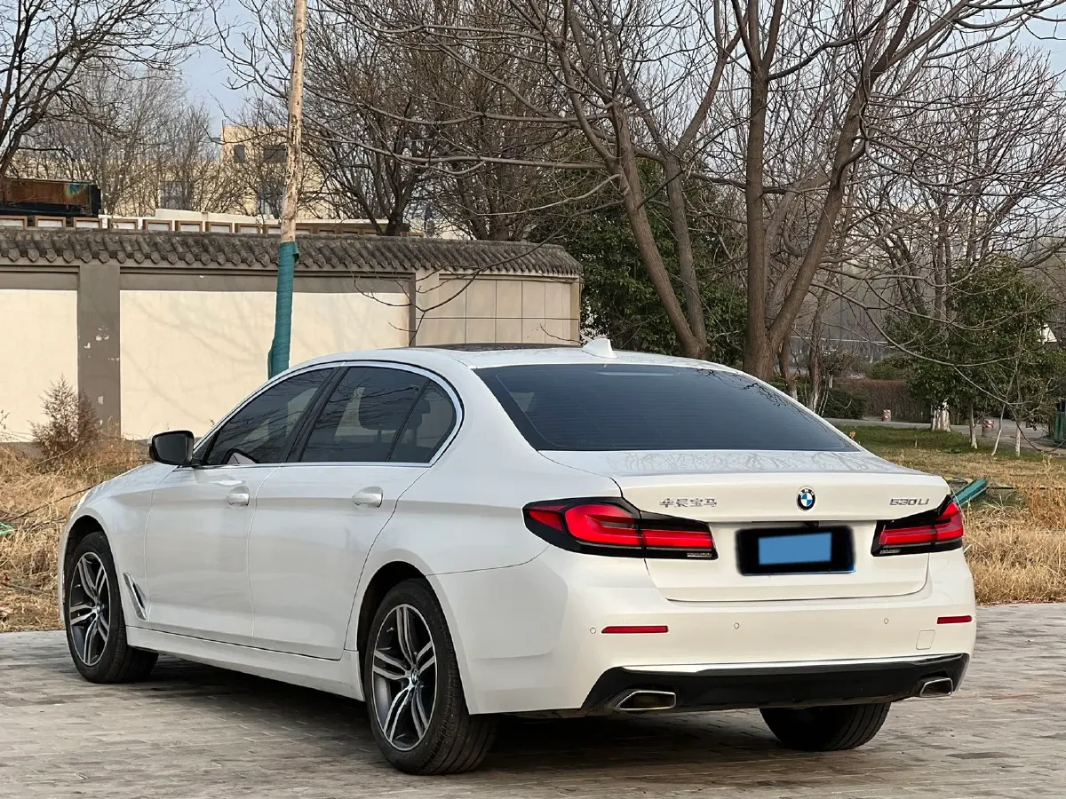 2022 BMW 5 Series 2.0T 252HP L4 8AT,autocango,china used car exporter,china ev exporter,chinese used car exporter,chinese used ev exporter