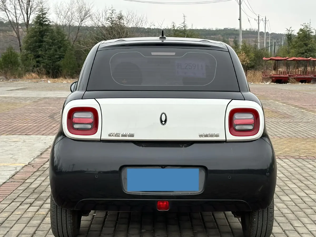 2022 Ora BlackCat BEV 30.3KWH,autocango,china used car exporter,china ev exporter,chinese used car exporter,chinese used ev exporter