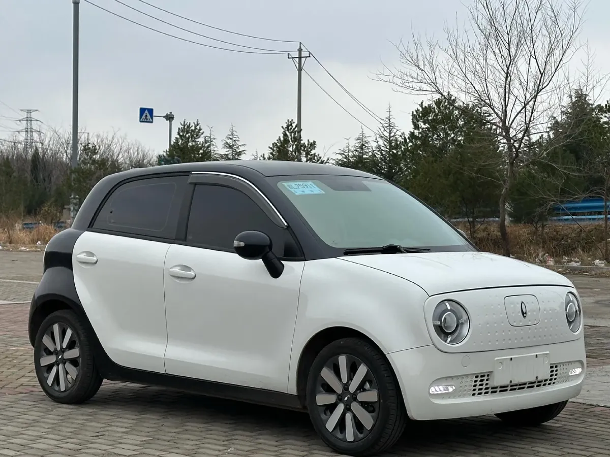 2022 Ora BlackCat BEV 30.3KWH,autocango,china used car exporter,china ev exporter,chinese used car exporter,chinese used ev exporter