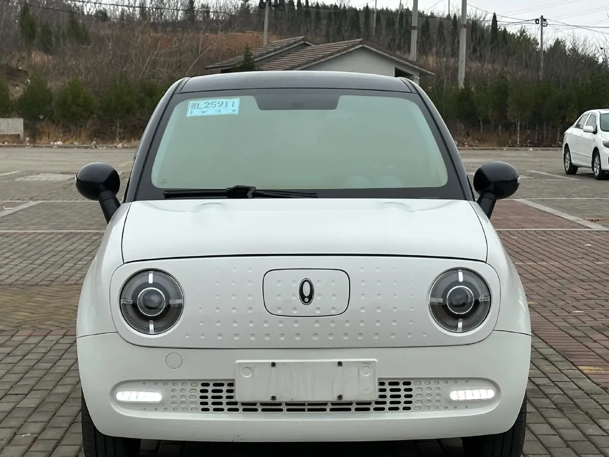 2022 Ora BlackCat BEV 30.3KWH,autocango,china used car exporter,china ev exporter,chinese used car exporter,chinese used ev exporter