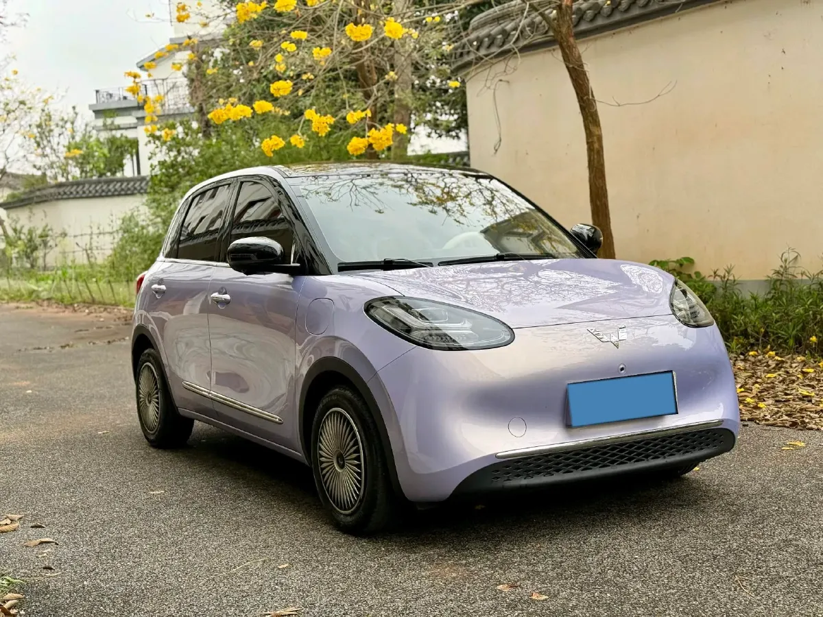 2025 WuLing BinGuo BEV,autocango,china used car exporter,china ev exporter,chinese used car exporter,chinese used ev exporter