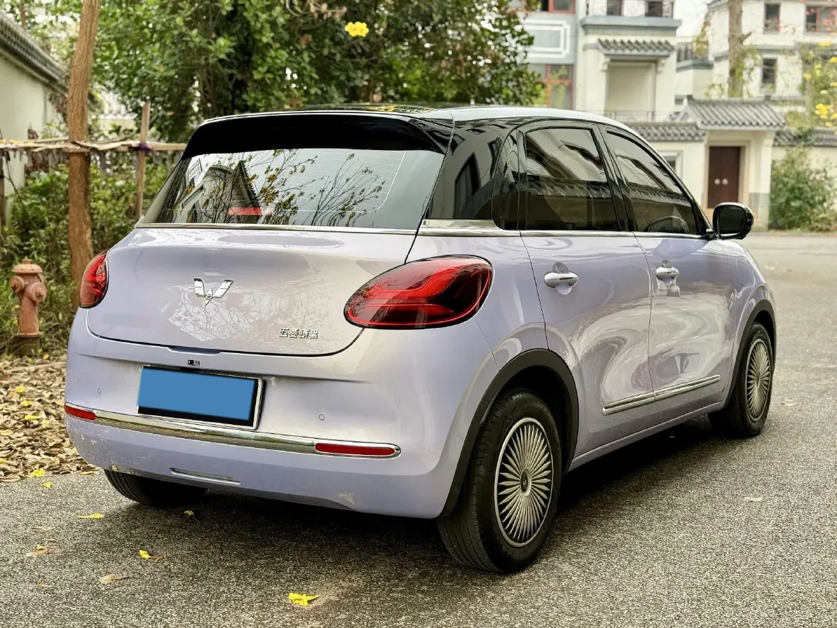 2025 WuLing BinGuo BEV,autocango,china used car exporter,china ev exporter,chinese used car exporter,chinese used ev exporter