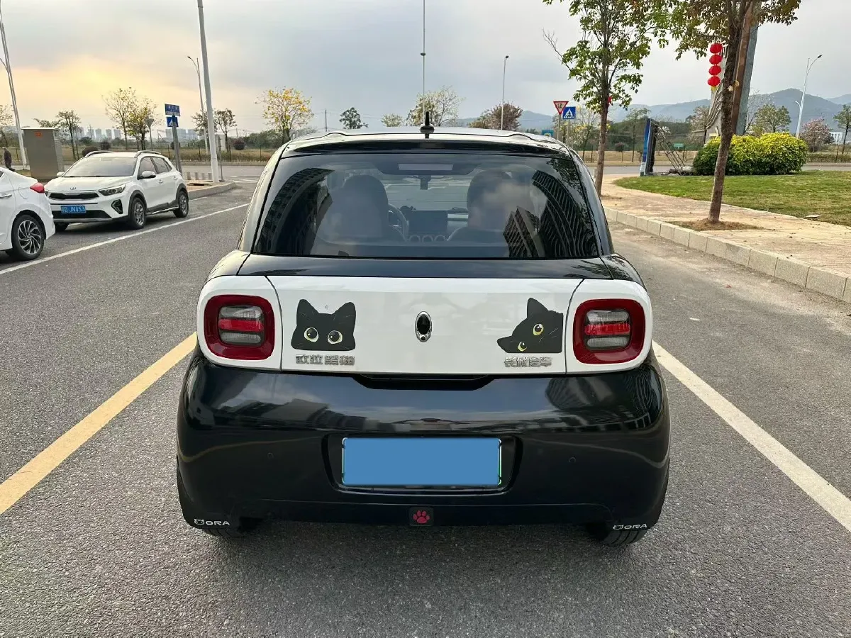 2021 Ora BlackCat BEV 30.3KWH,autocango,china used car exporter,china ev exporter,chinese used car exporter,chinese used ev exporter