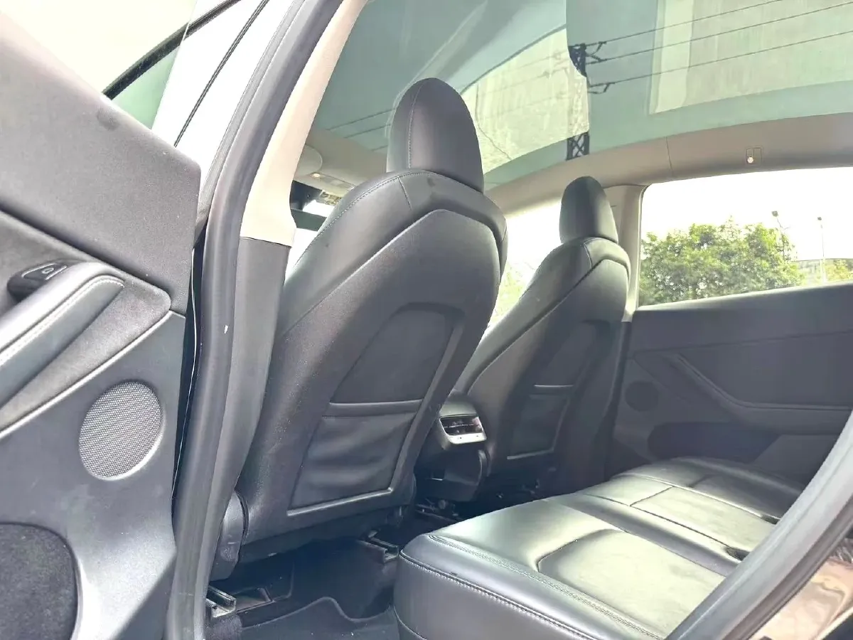 2020 Tesla Model 3 BEV 55KWH,autocango,china used car exporter,china ev exporter,chinese used car exporter,chinese used ev exporter