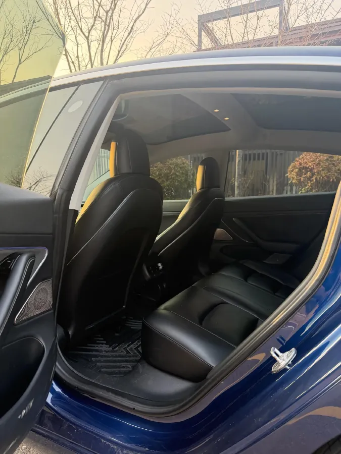 2020 Tesla Model 3 BEV 52KWH,autocango,china used car exporter,china ev exporter,chinese used car exporter,chinese used ev exporter