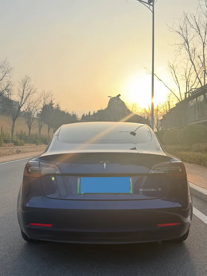 2020 Tesla Model 3 BEV 52KWH,autocango,china used car exporter,china ev exporter,chinese used car exporter,chinese used ev exporter