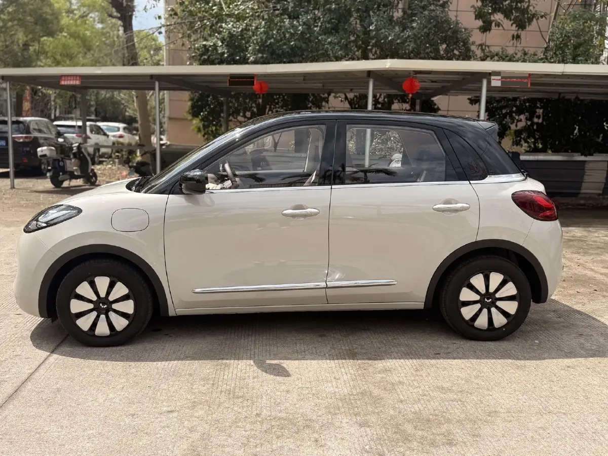 2025 WuLing BinGuo BEV,autocango,china used car exporter,china ev exporter,chinese used car exporter,chinese used ev exporter