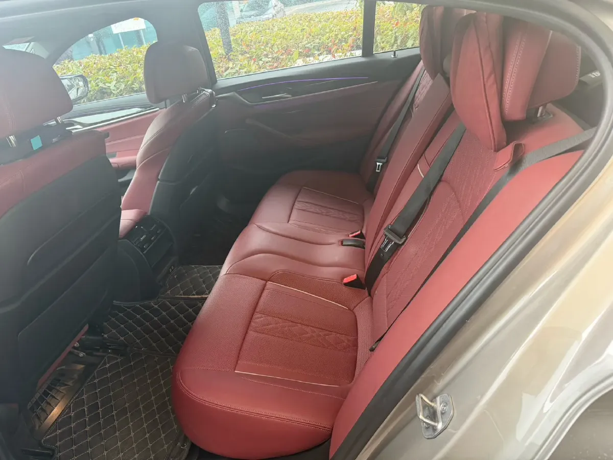 2021 BMW 5 Series 2.0T 184HP L4 8AT PHEV 17.7KWH,autocango,china used car exporter,china ev exporter,chinese used car exporter,chinese used ev exporter