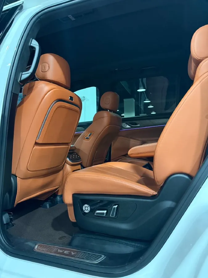 2023 WEY BlueMountain 1.5T 154HP L4 2DHT PHEV 44.5KWH,autocango,china used car exporter,china ev exporter,chinese used car exporter,chinese used ev exporter