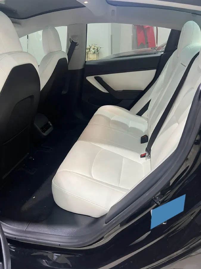 2020 Tesla Model 3 BEV 52KWH,autocango,china used car exporter,china ev exporter,chinese used car exporter,chinese used ev exporter