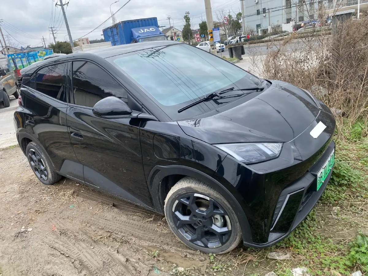 2025 BYD Seagull BEV 38.88KWH,autocango,china used car exporter,china ev exporter,chinese used car exporter,chinese used ev exporter