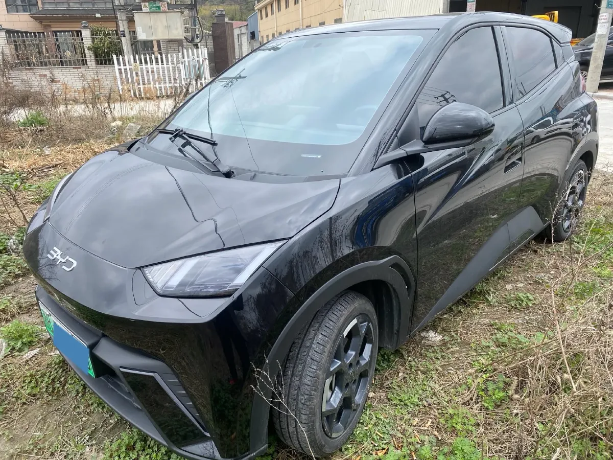 2025 BYD Seagull BEV 38.88KWH,autocango,china used car exporter,china ev exporter,chinese used car exporter,chinese used ev exporter