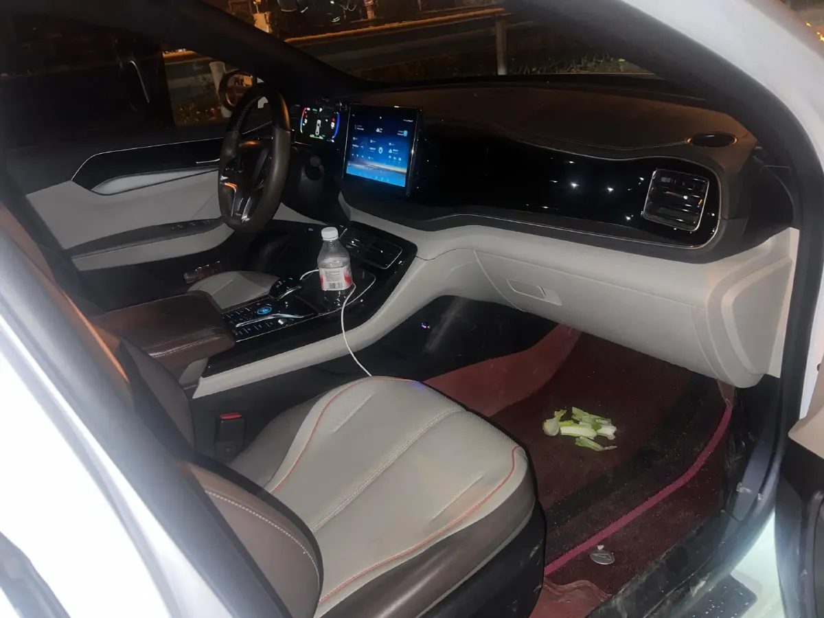 2024 BYD Qin Plus BEV 57.6KWH,autocango,china used car exporter,china ev exporter,chinese used car exporter,chinese used ev exporter