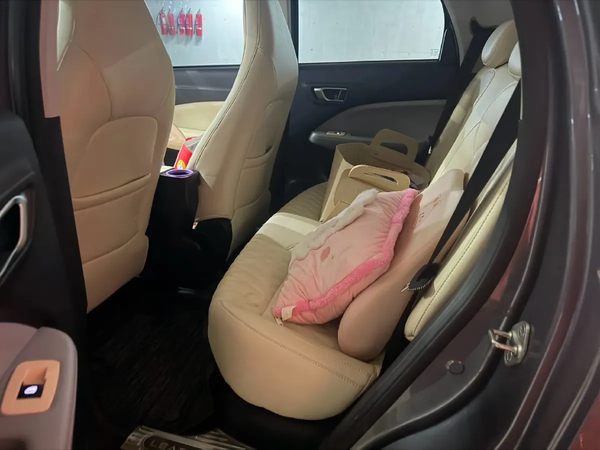 2022 Leapmotor T03 BEV 41KWH,autocango,china used car exporter,china ev exporter,chinese used car exporter,chinese used ev exporter