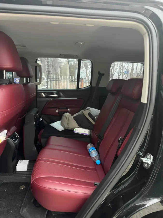 2024 Tank 300 2.0T 252HP L4 9AT,autocango,china used car exporter,china ev exporter,chinese used car exporter,chinese used ev exporter