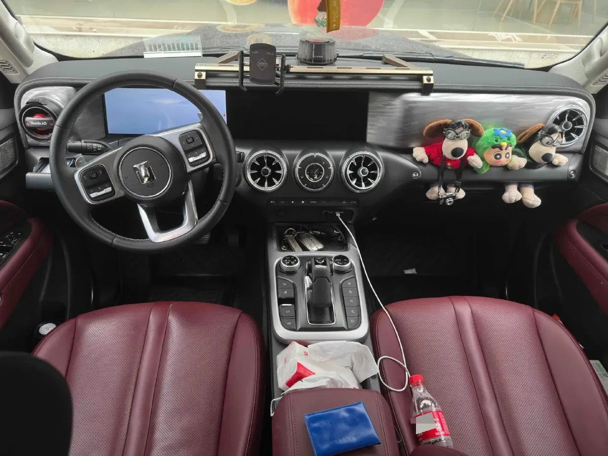 2024 Tank 300 2.0T 252HP L4 9AT,autocango,china used car exporter,china ev exporter,chinese used car exporter,chinese used ev exporter