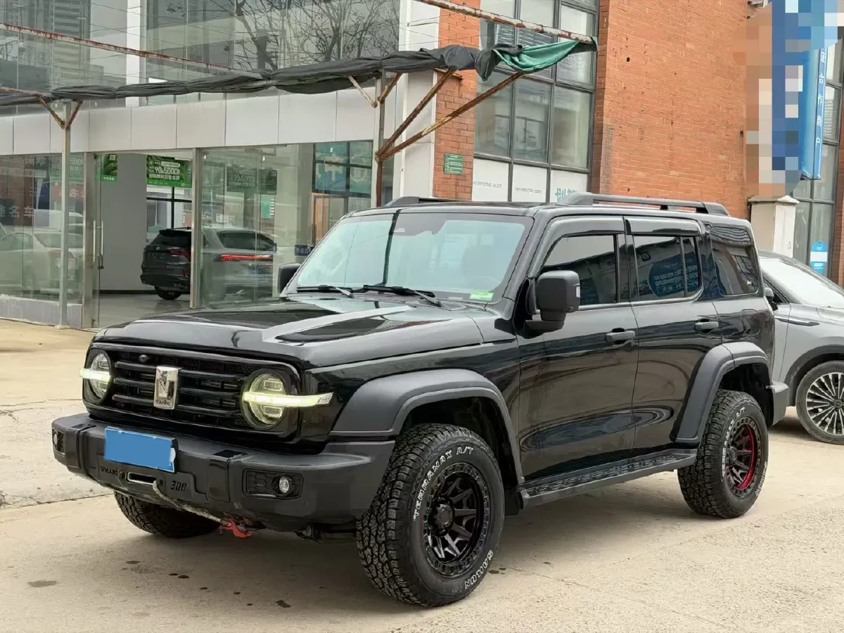 2021 Tank 300 2.0T 227HP L4 8AT,autocango,china used car exporter,china ev exporter,chinese used car exporter,chinese used ev exporter