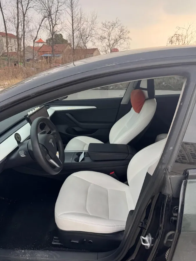 2021 Tesla Model 3 BEV 76.8KWH,autocango,china used car exporter,china ev exporter,chinese used car exporter,chinese used ev exporter