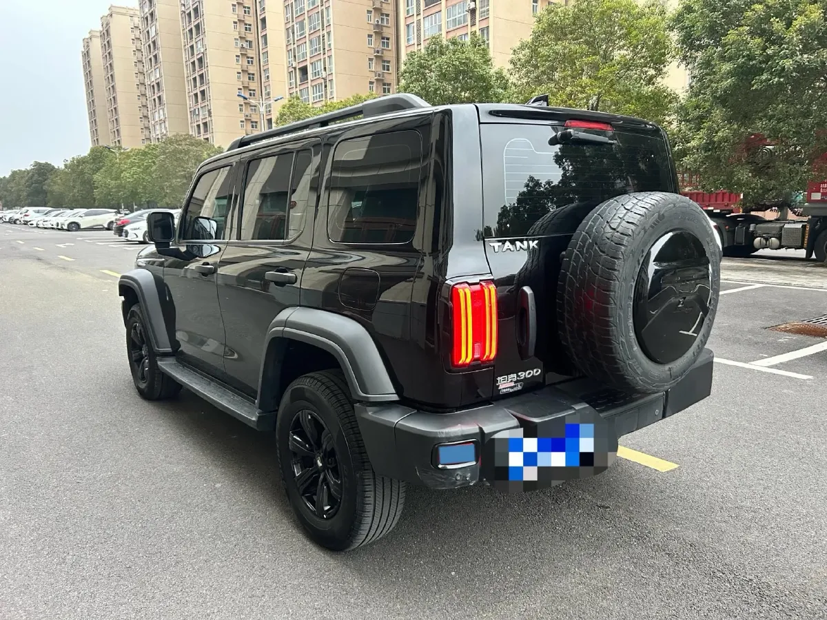2021 Tank 300 2.0T 227HP L4 8AT,autocango,china used car exporter,china ev exporter,chinese used car exporter,chinese used ev exporter
