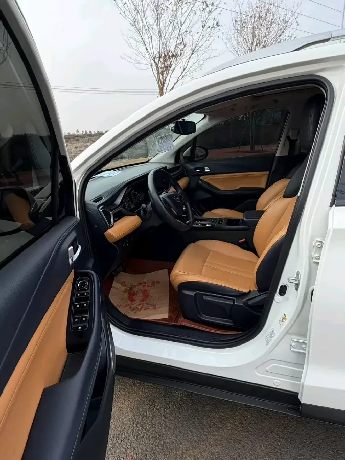 2021 GAC Trumpchi GS4 1.5T 169HP L4 6AT,autocango,china used car exporter,china ev exporter,chinese used car exporter,chinese used ev exporter