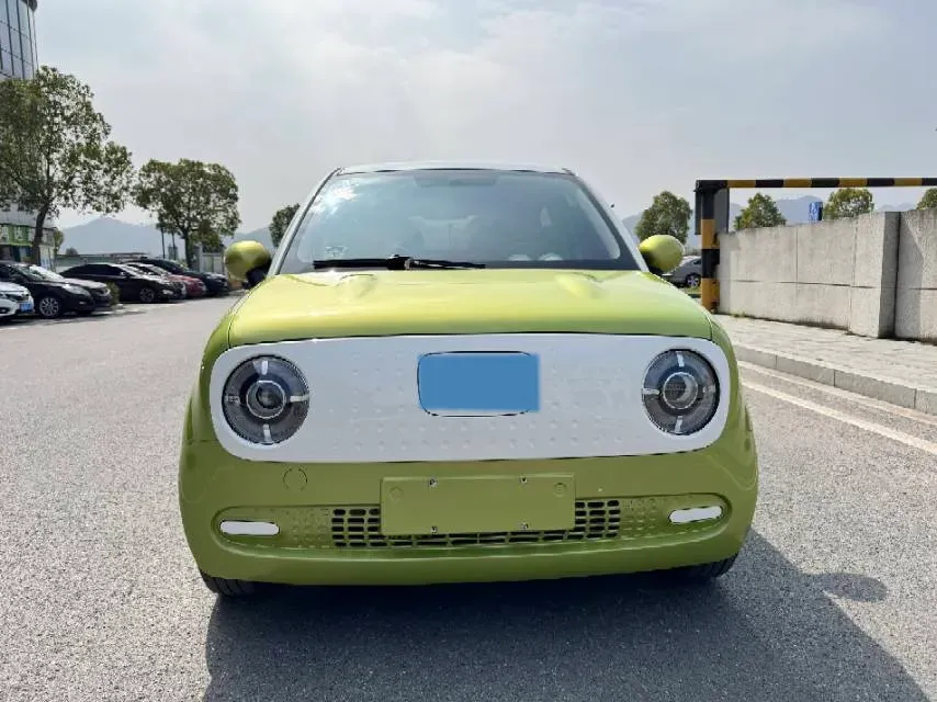 2019 Ora BlackCat BEV 28.5KWH,autocango,china used car exporter,china ev exporter,chinese used car exporter,chinese used ev exporter