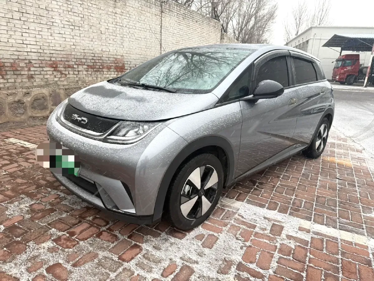2023 BYD Dolphin BEV 44.928KWH,autocango,china used car exporter,china ev exporter,chinese used car exporter,chinese used ev exporter